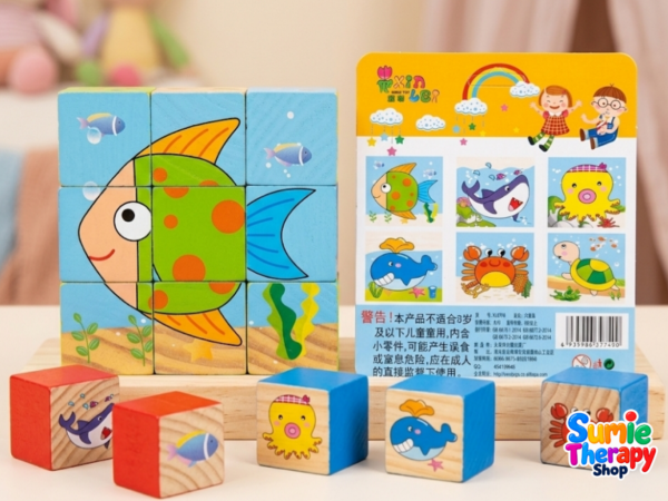 Puzzle Block
